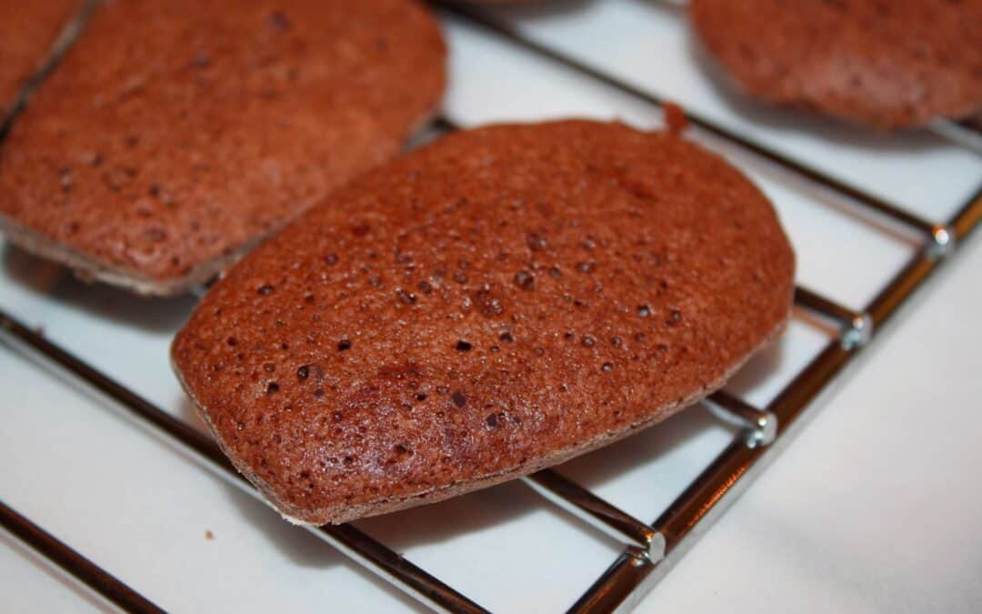 Dark Chocolate and Mandarin Agrumato Olive Oil Madeleines