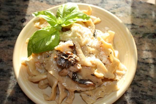 Handmade Fresh Pappardelle with Wild Mushroom & Balsamic Cream Sauce